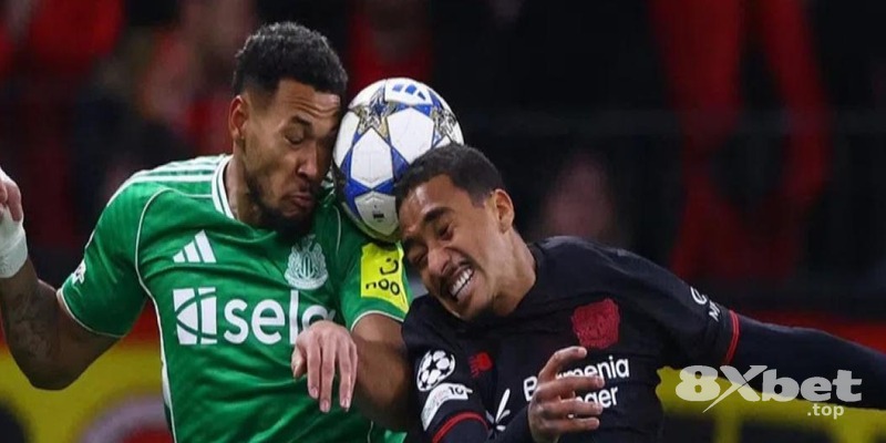 8xbet - link w88 không bị chặn